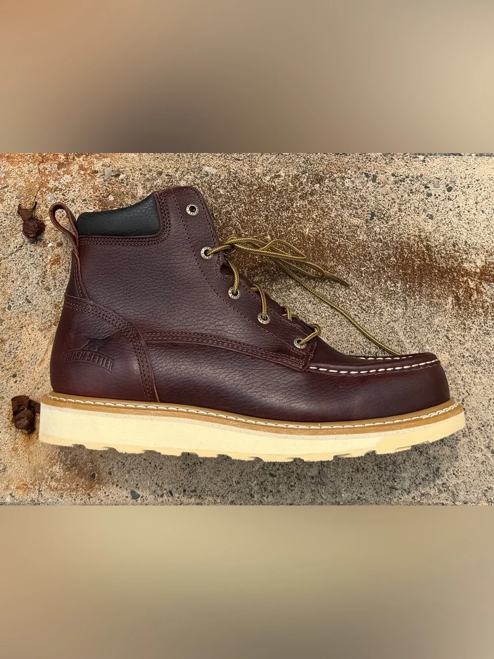Irish Setter step into